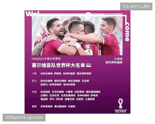 世界杯H组战术体系深度解读